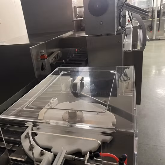 High Speed Plastic/Glass Bottle Filling Packing Machine Connect Box Cartoner with Instruction Paper Folder Package Machine Manufacturer